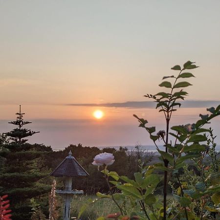 Hafoty Farm Cottages Caernarfon Eksteriør billede
